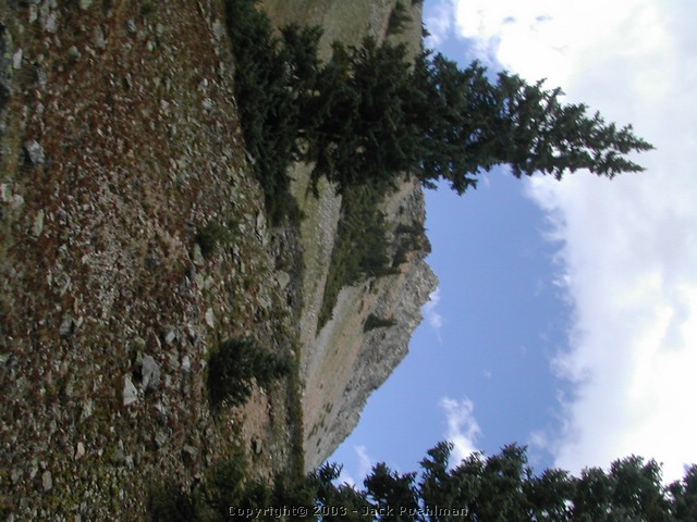 DSCN2017.JPG