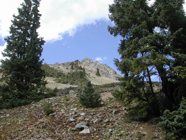 DSCN2018.JPG