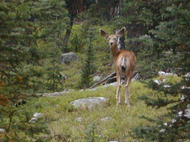 DSCN2037.JPG
