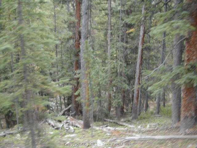 DSCN2038.JPG