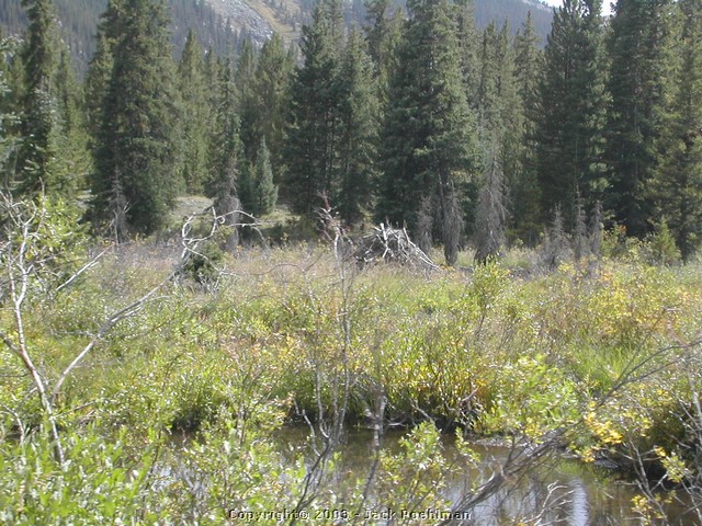 DSCN2041.JPG