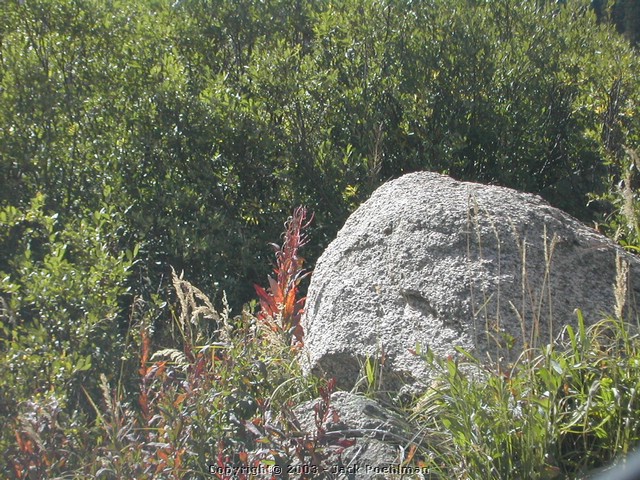 DSCN2045.JPG