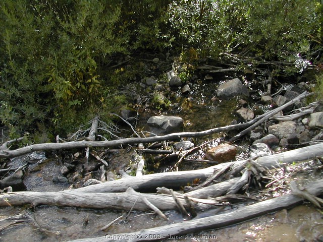 DSCN2067.JPG