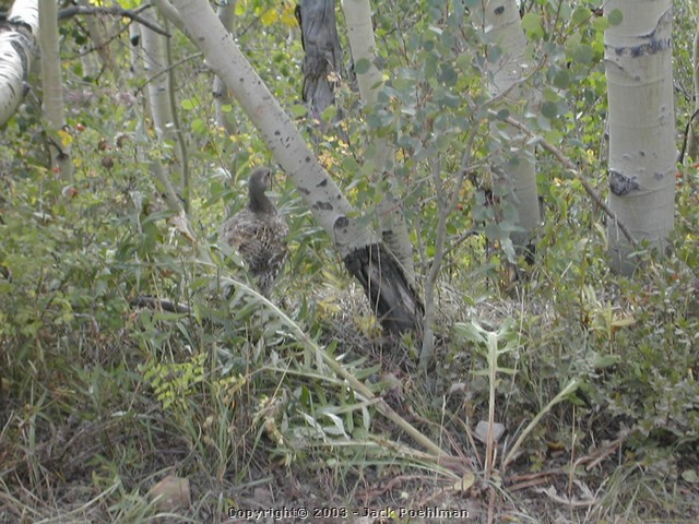 DSCN2068.JPG