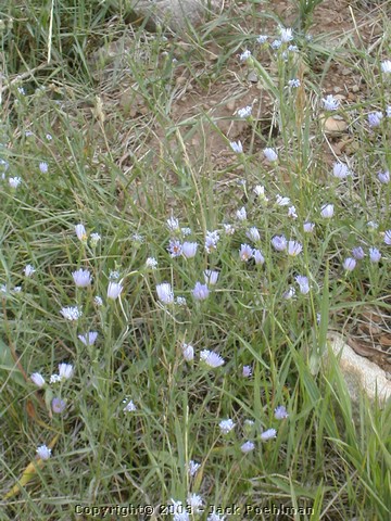 DSCN2071.JPG