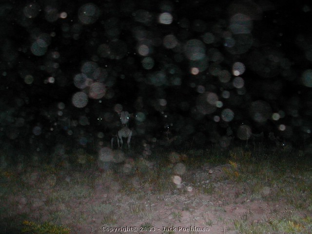 DSCN2151.JPG