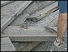 DSCN1888.JPG
