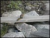 DSCN1891.JPG
