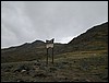 DSCN1912.JPG