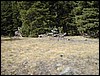DSCN1991.JPG