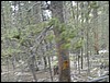 DSCN2007.JPG