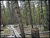 DSCN2008.JPG