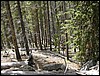 DSCN2009.JPG
