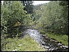 DSCN2011.JPG