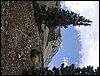 DSCN2017.JPG