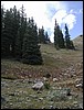 DSCN2023.JPG