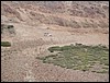 DSCN2031.JPG