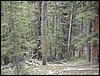 DSCN2038.JPG