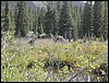DSCN2041.JPG