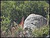 DSCN2045.JPG