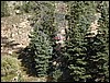 DSCN2059.JPG