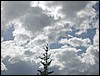 DSCN2063.JPG