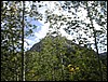 DSCN2066.JPG