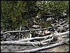 DSCN2067.JPG