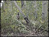 DSCN2068.JPG