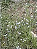 DSCN2071.JPG