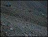 DSCN2137.JPG