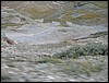 DSCN2144.JPG