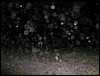 DSCN2151.JPG