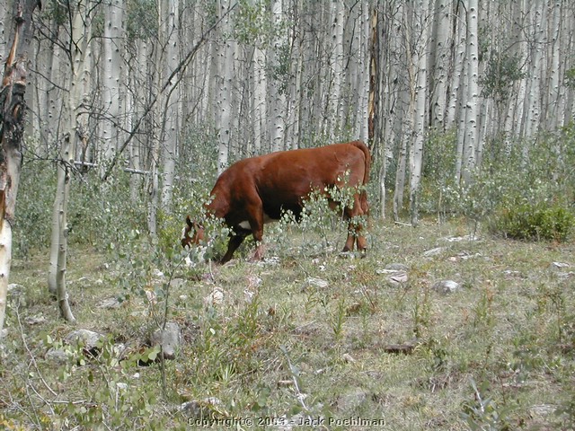 DSCN2160.JPG
