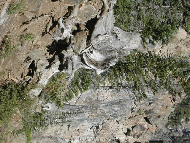DSCN2229.JPG