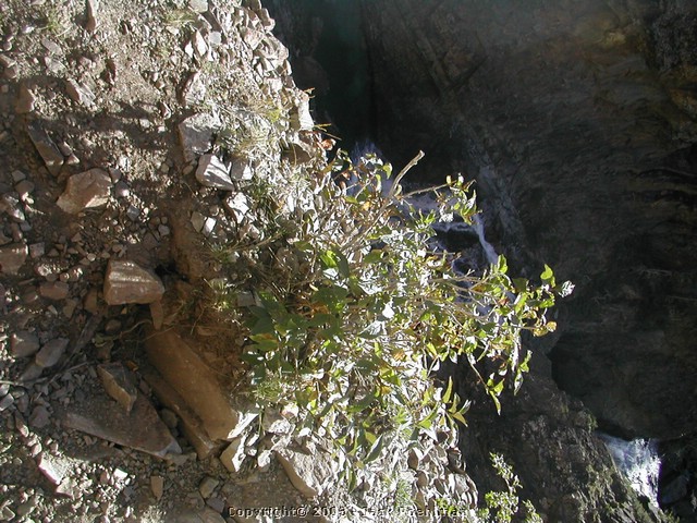 DSCN2236.JPG