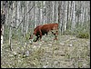 DSCN2160.JPG