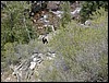 DSCN2188.JPG