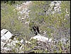 DSCN2190.JPG
