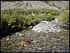DSCN2217.JPG
