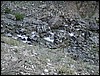 DSCN2228.JPG