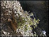 DSCN2236.JPG