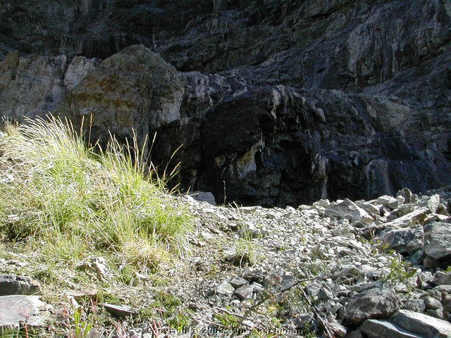 DSCN2251.JPG