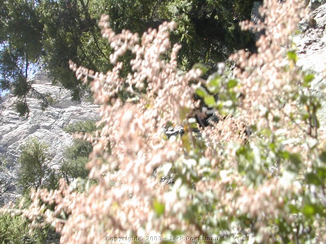 DSCN2258.JPG