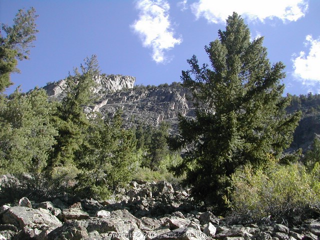 DSCN2260.JPG
