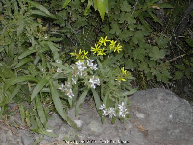DSCN2280.JPG