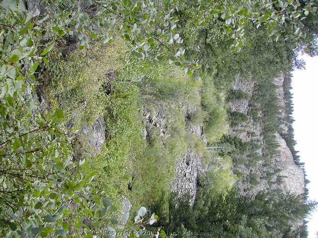 DSCN2288.JPG