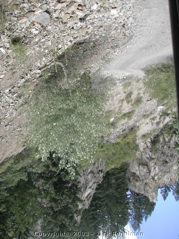 DSCN2290.JPG