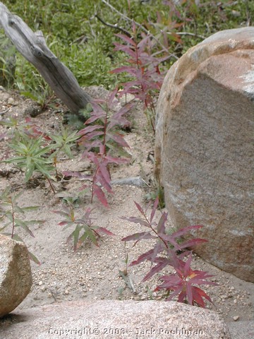 DSCN2354.JPG