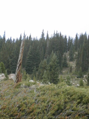 DSCN2377.JPG